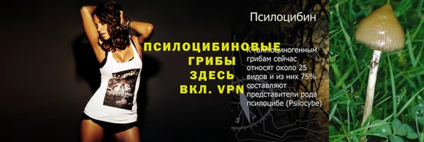 ALPHA PVP Баксан